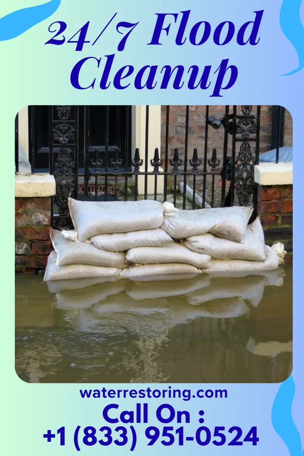 24/7 Flood Cleanup in North Bay Village, FL